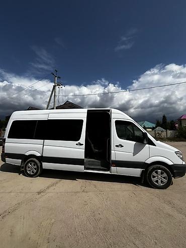 Mercedes-Benz: Mercedes-Benz Спринтер: 2008 г., 2.2 л, Автомат, Дизель, Фургон — 7