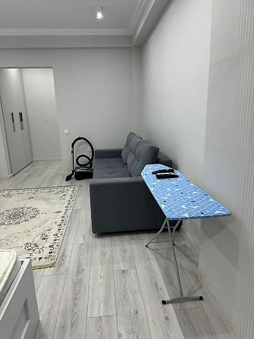 Долгосрочная аренда квартир: 1 комната, С мебелью полностью — 4