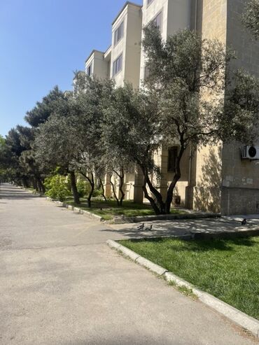 Kommersiya daşınmaz əmlakının satışı: Salam.Zehmet olmasa vapcatla elaqe saxliyin,fikri ciddi olan sexsler -da lalafo.az — 3 Kommersiya daşınmaz əmlakının satışı: Salam.Zehmet olmasa vapcatla elaqe saxliyin,fikri ciddi olan sexsler — 3