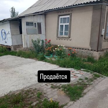 Үй жана бакча: Уй сатылат Бишкек шаары Арашан айылы кочосу Кошокбека 15, баасы 150