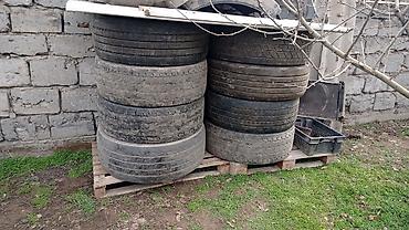 Шины: Грузовые шины (под борта/прицеп/тягач) - Количество: партия на фото — 2