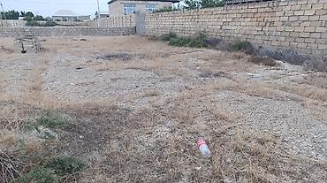 saray torpag: 6000 sot, Tikinti, Bələdiyyə — 2