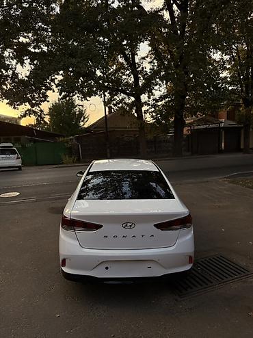 соната нью райс характеристики: Hyundai Sonata: 2019 г., 2 л, Автомат, Газ, Седан — 8