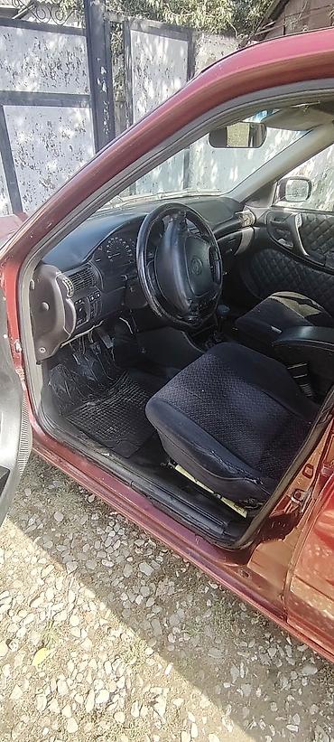 Opel: Mator karipka ela veziyetde yag yemeyi de yoxdu her bir seyne — 1