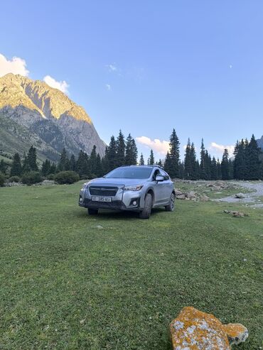 Subaru: Subaru Crosstrek: 2017 г., 2 л, Вариатор, Бензин, Кроссовер — 11