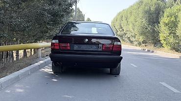 e34 m5: BMW 5 series: 1993 г., 2.5 л, Механика, Бензин, Седан — 4