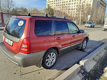 срв 1997: Subaru Forester: 2003 г., 2 л, Автомат, Газ, Кроссовер — 2