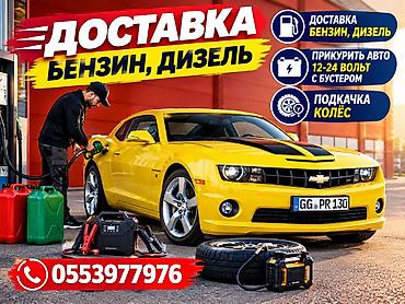 скворечник бишкек: Башка жаныбарлар — 1