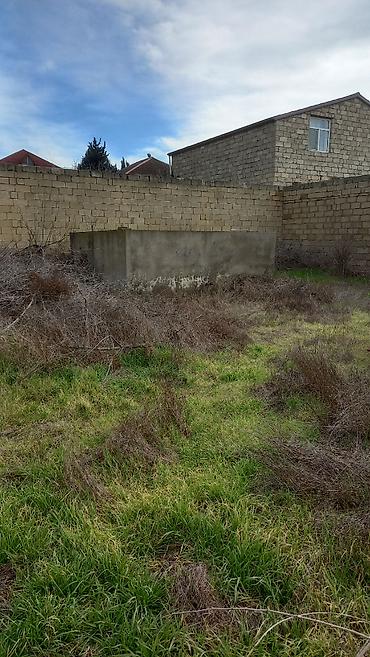 şaganda torpaq: 5 sot, Mülkiyyətçi, Kupça (Çıxarış) — 1