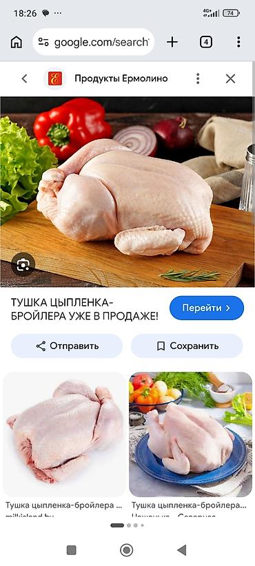 пень: Тушка цыплёнка-бройлера целиком - Целая потрошёная тушка без пера и — 1