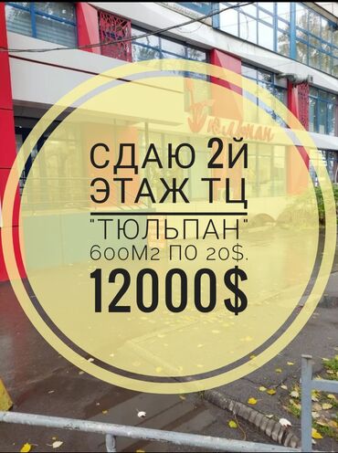 Продажа домов: Сдаю Офис, 600 м², В торговом центре, 1 линия, С отдельным сан узлом, С последующим выкупом