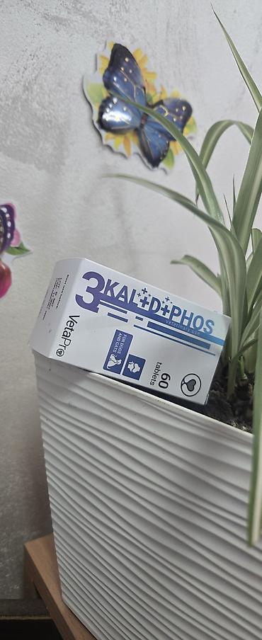 Oprema za kućne ljubimce: Pet shop Maza & Nera – sve za pse i mačke na jednom mestu - Širok — 21