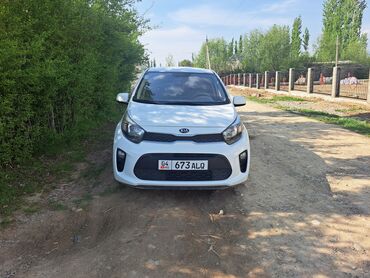 шевроле спарк 2017 цена: Белый городской хэтчбек Kia morning Компактный автомобиль с