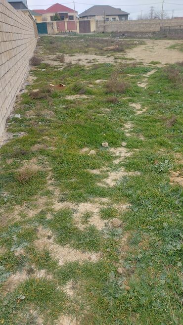 аренда сельхоз земли: 3 sot, Tikinti, Mülkiyyətçi, Kupça (Çıxarış)