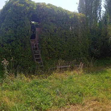 продажа дом село джал: 150 соток, Айыл чарба үчүн