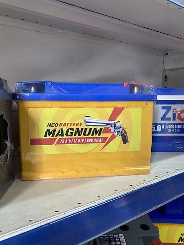 Автомобильный аккумулятор Neo Battery MAGNUM - Тип