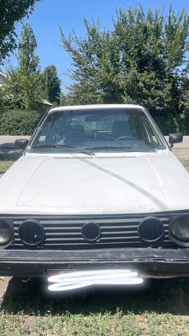 голф вариант: Volkswagen Golf: 1992 г., 1.8 л, Механика, Бензин