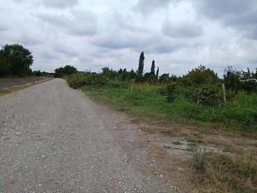 anbar satışı: 24 sot, Kənd təsərrüfatı, Mülkiyyətçi, Kupça (Çıxarış), Bələdiyyə — 2