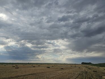 купить комнату в коммунальной квартире: 17 соток, Для сельского хозяйства