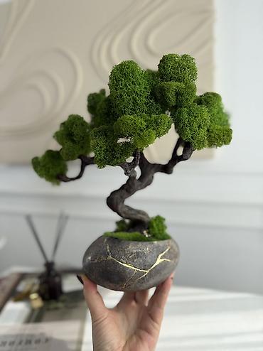 Декоративные цветы: Деревья-бонсай из натурального стабилизированного мха🌳 -это — 91