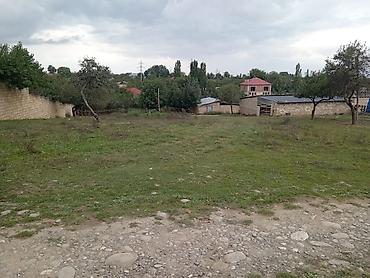 müşfiqabad ev satışı: 10 sot, Tikinti — 1