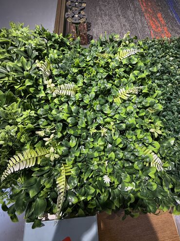 Süni qazon: Suni qazonarin ve dekorlarin topdan ve perekende satisi sifaris ucun -da lalafo.az — 4 Süni qazon: Suni qazonarin ve dekorlarin topdan ve perekende satisi sifaris ucun — 4