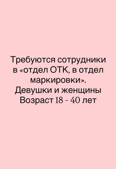 ищу работа на дом: Техникалык көзөмөл оператору