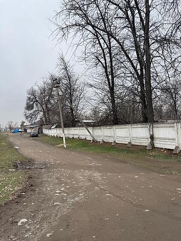 Продажа участков: 40 соток, Для бизнеса, Красная книга — 10