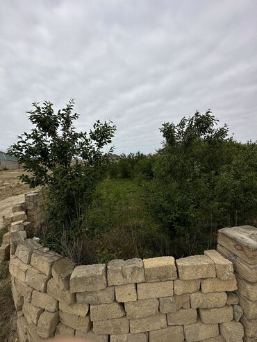 saray qesebesi torpaq satisi: 4 sot, Kupça (Çıxarış), Bələdiyyə