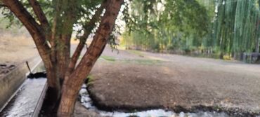 Сельхоз предприятия: Продается Кашара Фермерское- хозяйство с действующим бизнесом и с — 24