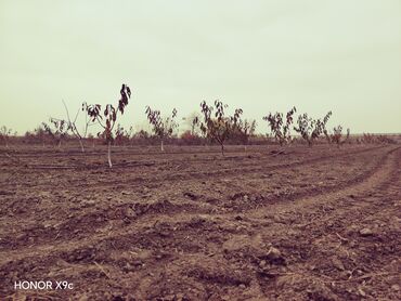 Torpaq sahələrinin satışı: Mülkiyyətçi — 7