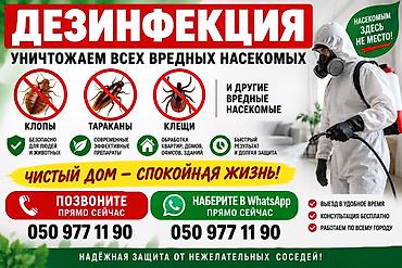 Дезинфекция, дезинсекция, | Клопы, | Квартиры at lalafo.kg Дезинфекция, дезинсекция, | Клопы, | Квартиры