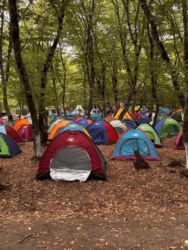 Həyət evləri və villaların satışı: 3 otaqlı, 78 kv. m, Kredit yoxdur, Yeni təmirli — 15