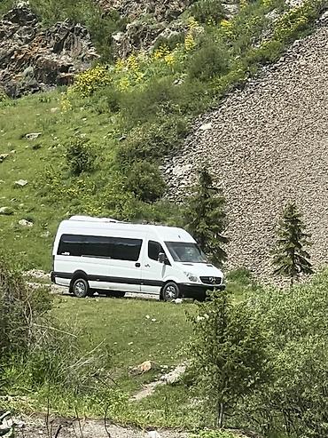 обои работа цена: Mercedes-Benz Sprinter (длинная база, высокий потолок) — пассажирский — 9