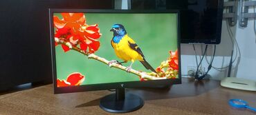 Monitori: V7 L215DS-2E - LED monitor - Full HD (1080p) - 21.5"-perfektan — 3