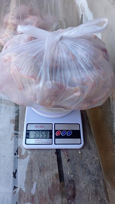 Digər quşlar: Bildirçin satışı✅. ev şəraitində saxlanılmış bildirçinlər ferma — 2