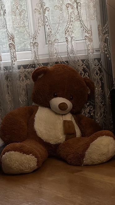 barbi oyuncaqları: Böyük ayı oyuncağı endirim olunacaq — 1