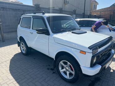 нива камбаин: ВАЗ (ЛАДА) 4x4 Нива: 2014 г., 1.8 л, Механика, Бензин, Кабриолет