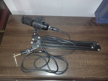 ip камеры 11.8 с микрофоном: Микрофон XLR, пантограф, кабель для микрофона Female XLR to Male 1/4