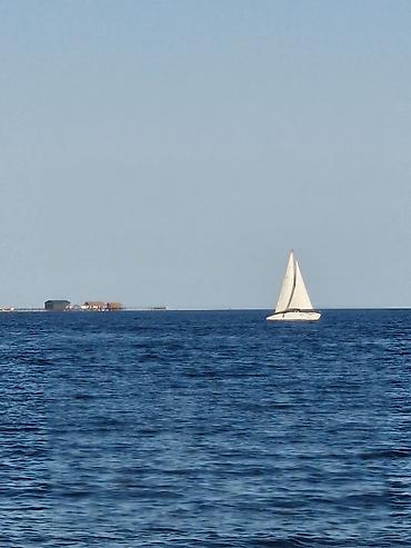 6 соток, Для строительства, Красная книга