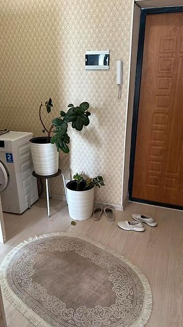 инвестировать: 1 комната, 57 м², Золотой квадрат Элитка, 3 этаж — 1