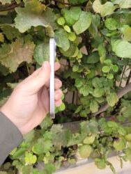 Apple iPhone: IPhone 15 Pro, 128 GB, Natural Titanium, Face ID — 7