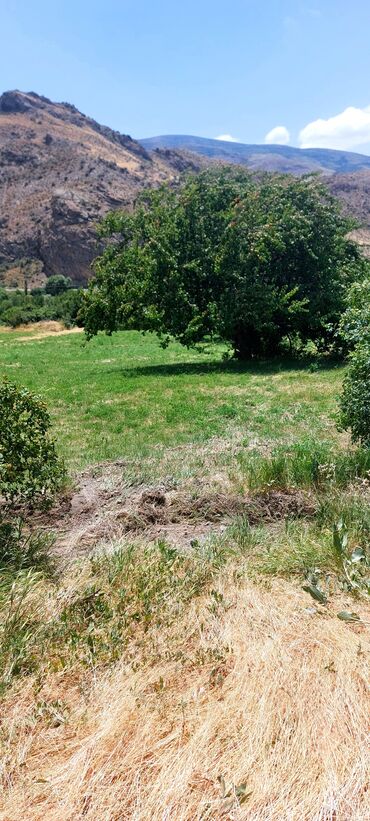 Torpaq sahələrinin satışı: Əkin sahəsi kənd təsərrüfatı fəaliyyəti üçün geniş imkanlar təklif — 8