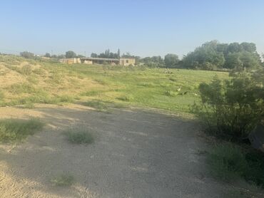 məhəmmədi kəndi: Kənd təsərrüfatı, Mülkiyyətçi