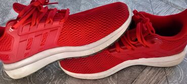 Patike: Patike, Adidas, veličina - 41.5 — 14