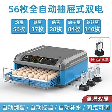 Инкубаторы: Инкубатор для яиц, полностью автоматический, «двойное питание» — 2