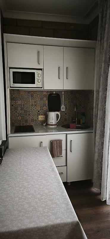 studio apartment: Аренда квартиры на Иссык-Куле, Карвен 4 сезона, Сары-Ой, 3 места, Цена Целиком за жилье — 3