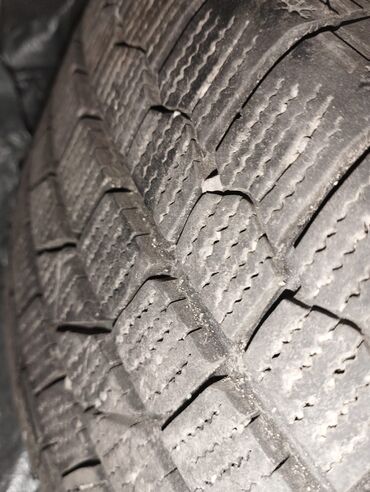 шины разноширокие: Шиналар