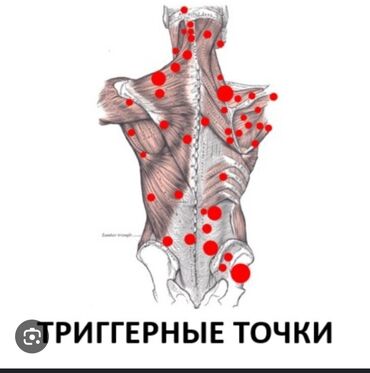 массаж у вас дома: Массаж | Дарылоочу, Лимфодренаждык, Балдар үчүн | Муундун чала чыгуусу, Буттардын узундугунун айырмасы, Остеохондроз | Үйүнө баруу менен, Консультация