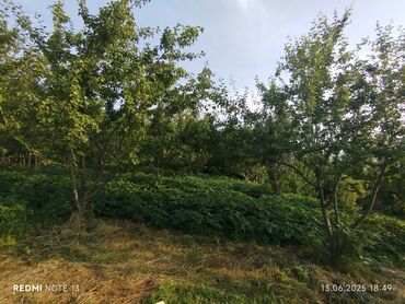 Torpaq sahələrinin satışı: 186 sot, Tikinti, Maklerlər narahat etməsin, Kupça (Çıxarış) — 8